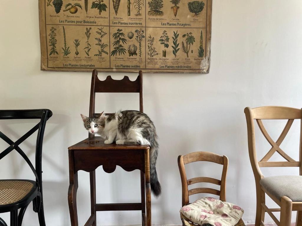 La Chaise Haute Hagetmau Eksteriør bilde